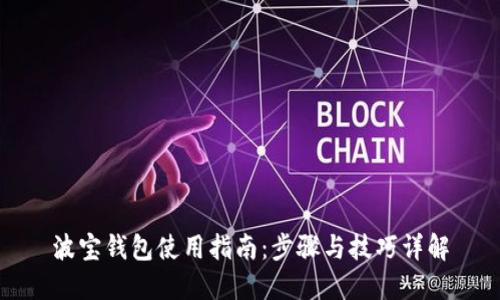 波宝钱包使用指南：步骤与技巧详解