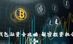 区块链钱包融资全攻略：