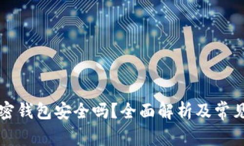 中文版加密钱包安全吗?全面解析及常见问题解答