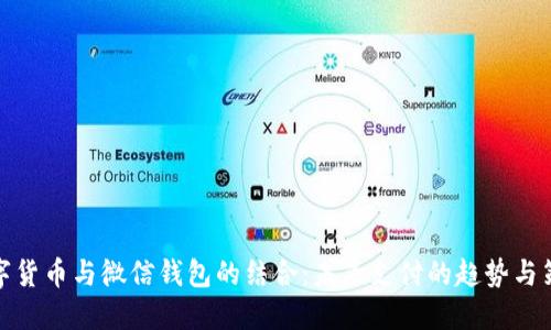 数字货币与微信钱包的结合：未来支付的趋势与策略
