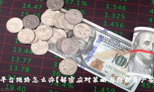 加密钱包平台跑路怎么办？解密应对策略与维护资产安全的指南