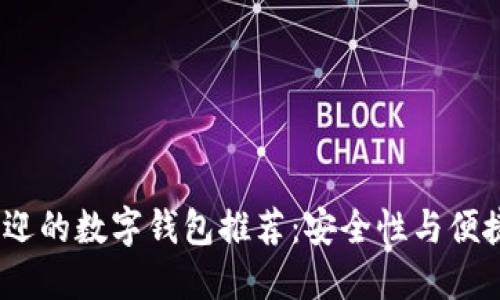 2023年最受欢迎的数字钱包推荐：安全性与便捷性的完美结合