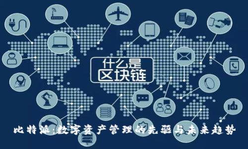 比特派：数字资产管理的先驱与未来趋势