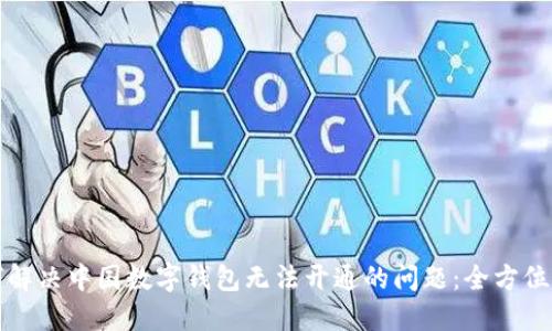如何解决中国数字钱包无法开通的问题：全方位指南