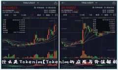 什么是Tokenim？Tokenim的应用