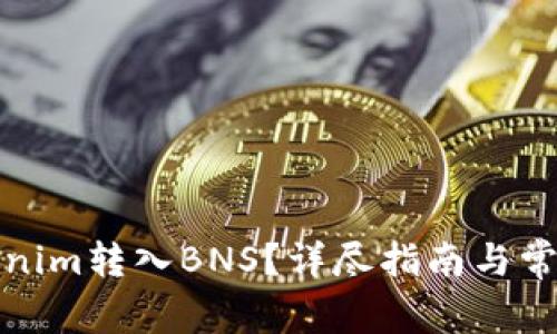 如何将Tokenim转入BNS？详尽指南与常见问题解答
