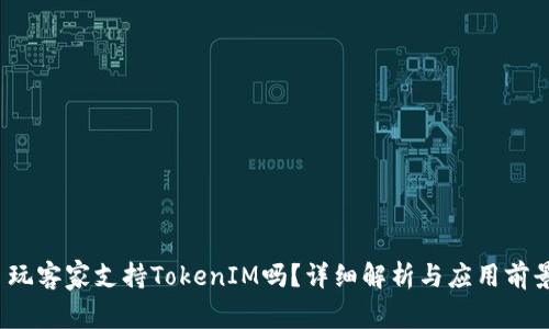 玩客家支持TokenIM吗？详细解析与应用前景