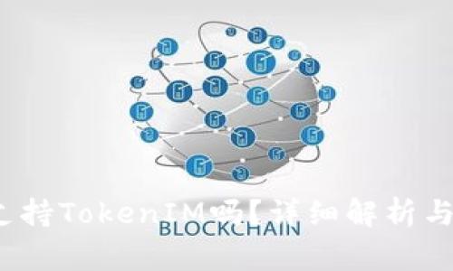  玩客家支持TokenIM吗？详细解析与应用前景