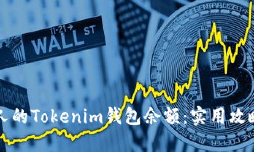 如何查看别人的Tokenim钱包余额:实用攻略与方法解析