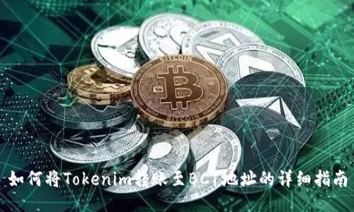 如何将Tokenim转账至BC1地址的详细指南