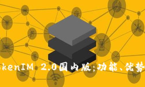 深入解析TokenIM 2.0国内版：功能、优势与使用指南