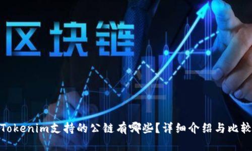 Tokenim支持的公链有哪些？详细介绍与比较