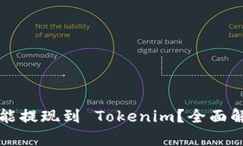 屎币如何能提现到 Tokenim?全面解析及指南