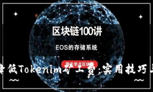 如何降低Tokenim矿工费：实用技巧与策略
