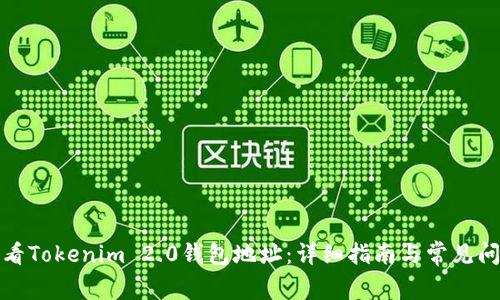 如何查看Tokenim 2.0钱包地址:详细指南与常见问题解答
