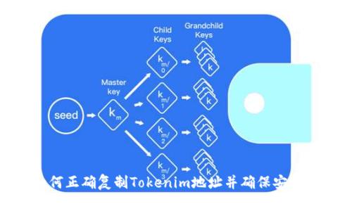 如何正确复制Tokenim地址并确保安全性