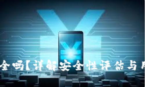  Tokenim安全吗？详解安全性评估与用户保护措施