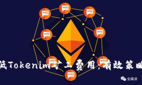 如何降低Tokenim矿工费用：有效策略与建议