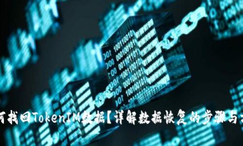 如何找回TokenIM数据？详解数据恢复的步骤与方法