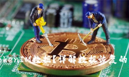 如何找回TokenIM数据？详解数据恢复的步骤与方法