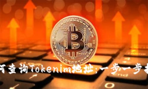 如何查询Tokenim地址：一步一步指南