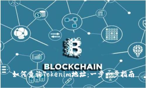 如何查询Tokenim地址：一步一步指南