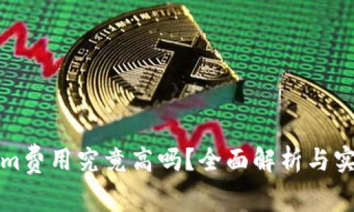 Tokenim费用究竟高吗？全面解析与实用指南