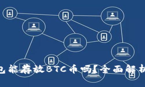 Tokenim钱包能存放BTC币吗？全面解析及使用指南