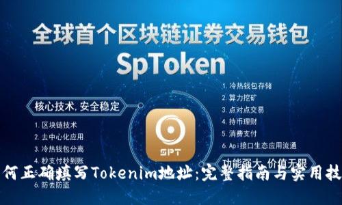 如何正确填写Tokenim地址：完整指南与实用技巧