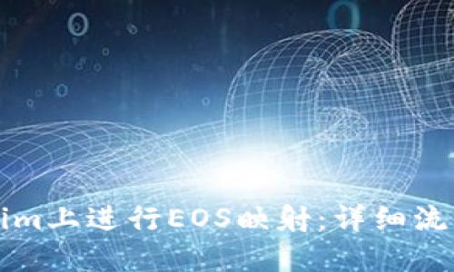 如何在Tokenim上进行EOS映射：详细流程与操作指南