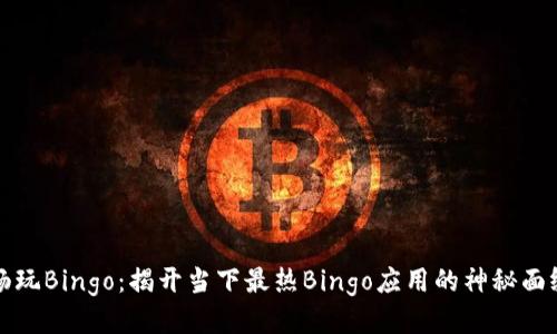 畅玩Bingo：揭开当下最热Bingo应用的神秘面纱
