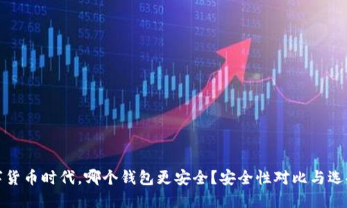在数字货币时代,哪个钱包更安全?安全性对比与选择指南