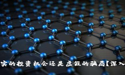 波场币是真实的投资机会还是虚假的骗局？深入分析与探讨