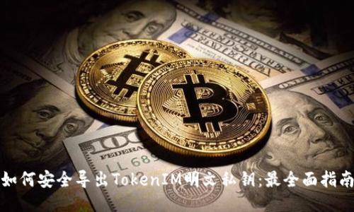如何安全导出TokenIM明文私钥：最全面指南