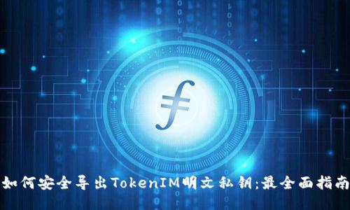 如何安全导出TokenIM明文私钥：最全面指南